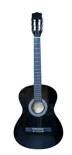 6 String Acoustic Guitar