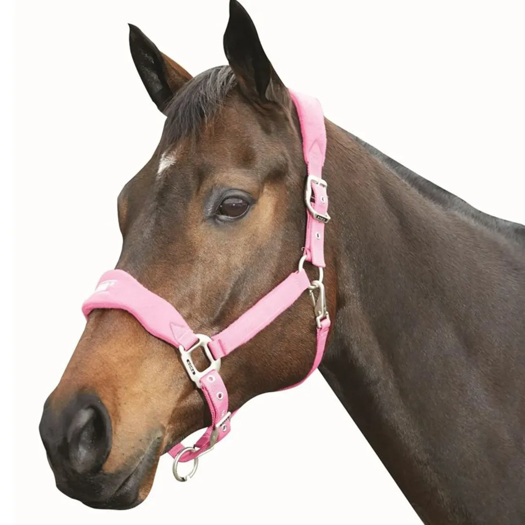 Roma Fleece Shaped Headcollar