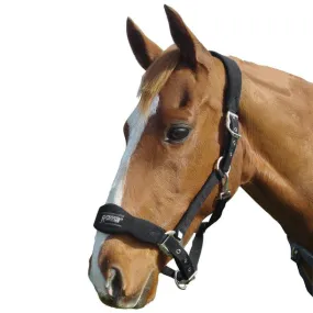 Roma Fleece Shaped Headcollar